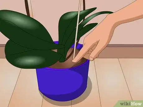 Imagen titulada Care for Indoor Plants Step 2