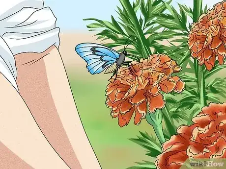 Imagen titulada Make a Butterfly Feeder Step 6