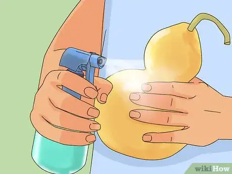 Imagen titulada Dry Gourds for Decorating Step 2