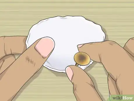 Imagen titulada Drill a Hole in a Seashell (Without a Drill) Step 3