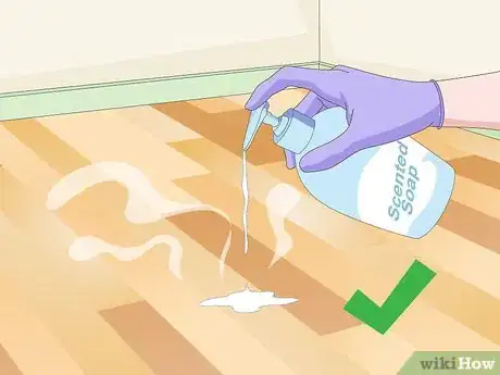 Imagen titulada Clean Vomit from Wood Floors Step 6