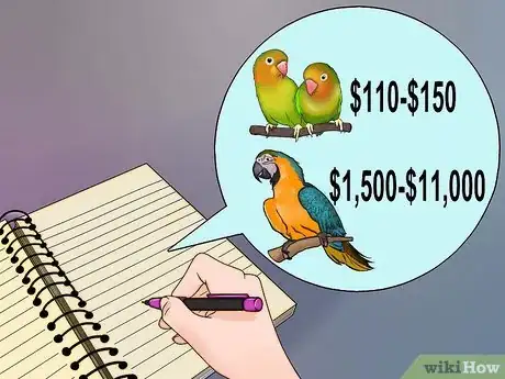 Imagen titulada Decide if a Parrot Is Right for You Step 8