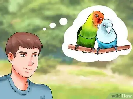 Imagen titulada Care for a Lovebird Step 1