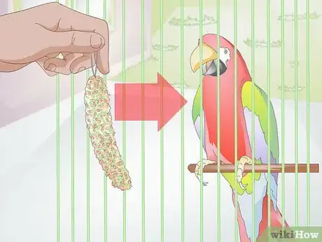 Imagen titulada Choose Treats for Pet Birds Step 4