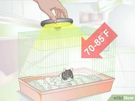 Imagen titulada Keep Your Hamster Comfortable When It is Sick or Dying Step 3