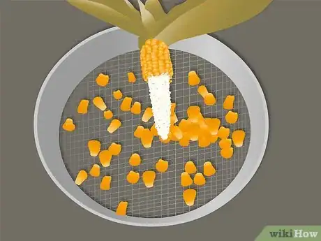 Imagen titulada Harvest Corn Step 9Bullet1