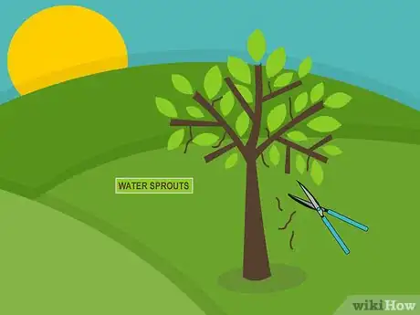 Imagen titulada Care for Mature Apple Trees Step 03