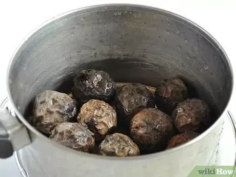 Imagen titulada Make Ink from Walnut Shells Step 2