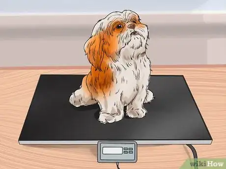 Imagen titulada Feed Your Shih Tzu Step 1