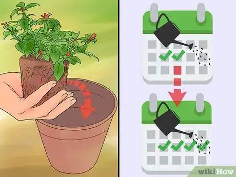 Imagen titulada Remove Brown Tips From the Leaves of Houseplants Step 7