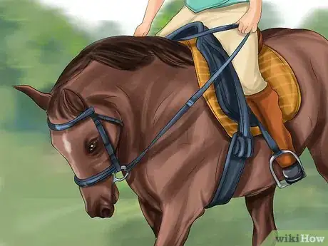 Imagen titulada Buy a Saddle Step 12