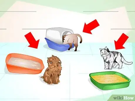 Imagen titulada Keep Your Cat from Urinating Where It Shouldn't Step 2