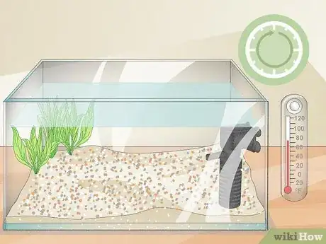 Imagen titulada Clean a Betta Fish Tank Step 10