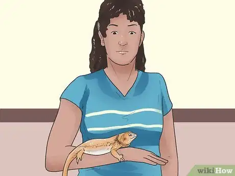 Imagen titulada Hold a Bearded Dragon Step 5