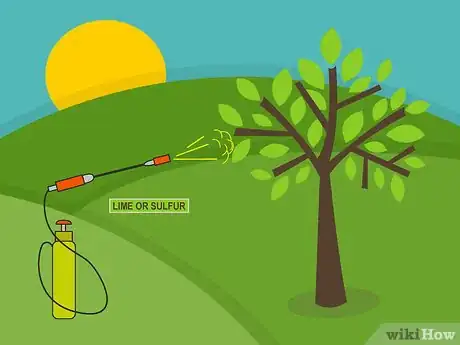 Imagen titulada Care for Mature Apple Trees Step 11