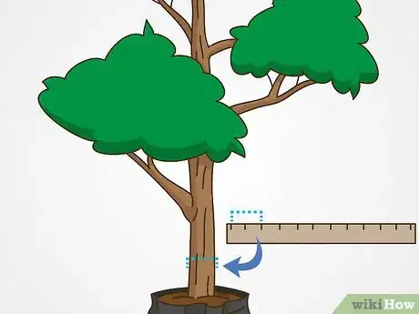 Imagen titulada Transplant a Young Tree Step 2