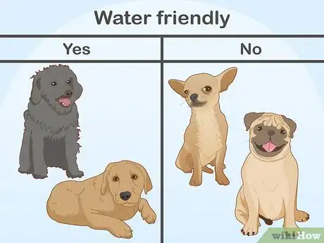 Imagen titulada Safely Introduce Your Dog to Water Step 4