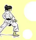 ejecutar Mae Geri (karate Shotokan )