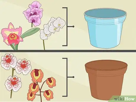 Imagen titulada Plant Orchids in a Pot Step 2