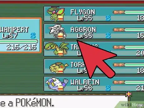 Imagen titulada Beat the Elite Four on Ruby, Sapphire, or Emerald Step 12