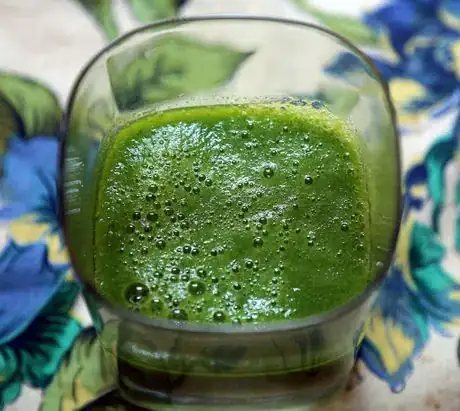 Imagen titulada Green Smoothie with Parsley