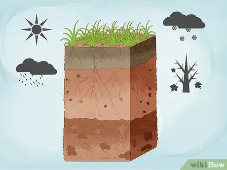 Imagen titulada Control Erosion Step 2