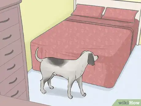 Imagen titulada Set Off‐Limit Areas in Your House for Your Dog Step 11