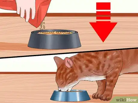 Imagen titulada Ensure That Your Cat Finishes Its Food Step 8