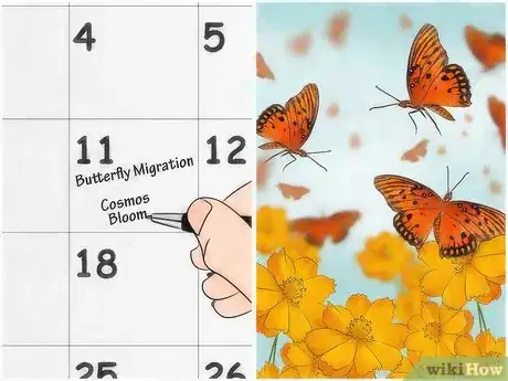 Imagen titulada Attract Butterflies Step 14