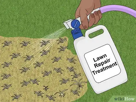 Imagen titulada Repair Spots from Pet Urine in Lawn Grass Step 3