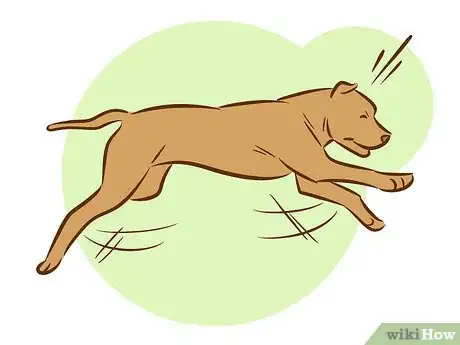 Imagen titulada Train a Pitbull Puppy Step 27