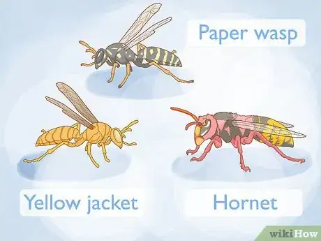 Imagen titulada Get Rid of a Wasp's Nest Step 5