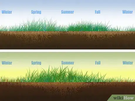 Imagen titulada Aerate a Yard Step 1