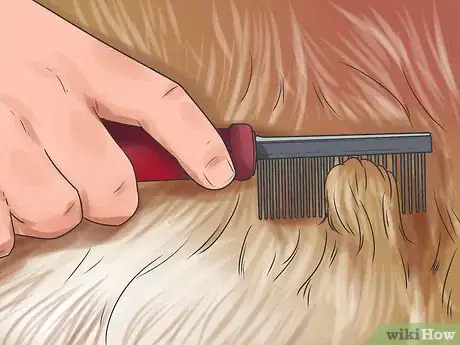 Imagen titulada Brush Mats out of Dog Hair Step 8