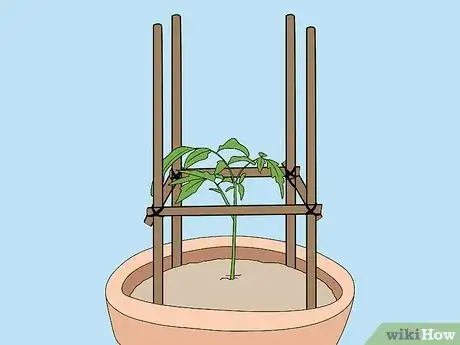 Imagen titulada Support Tomato Plants in Pots Step 10