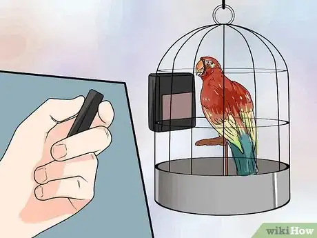 Imagen titulada Train Parrots to Make Less Noise Step 7