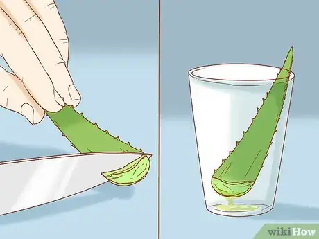 Imagen titulada Drink Aloe Vera Step 5