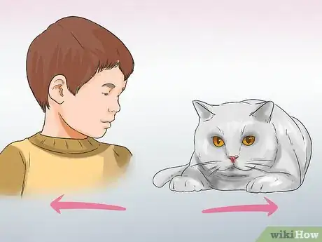 Imagen titulada Know if a Child Is Allergic to Cats Step 4