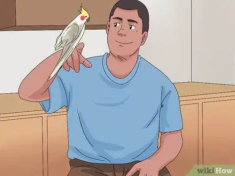 Imagen titulada Treat Injured Cockatiels Step 16