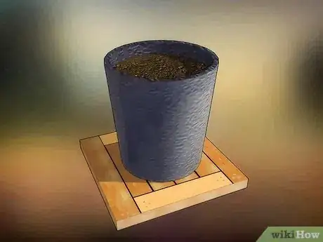 Imagen titulada Grow Fruit in Pots Step 3