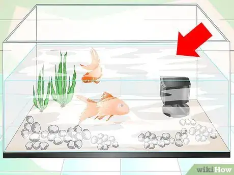 Imagen titulada Keep Aquarium Water Clear Step 9