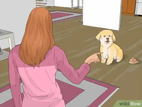 Imagen titulada Take Care of a Lhasa Apso Step 10