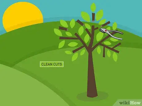 Imagen titulada Care for Mature Apple Trees Step 07