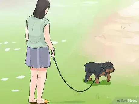 Imagen titulada Care for a Rottweiler Puppy Step 10