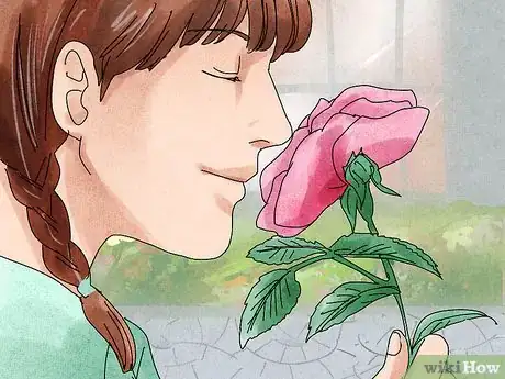 Imagen titulada Stop and Smell the Roses Step 14