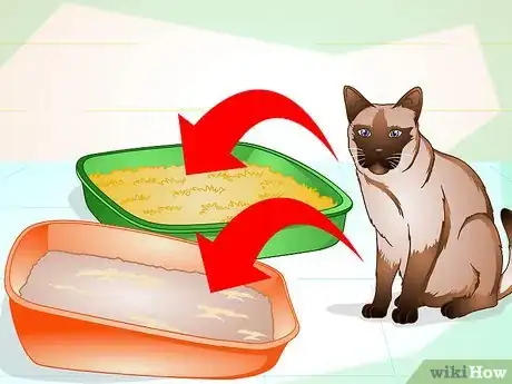 Imagen titulada Maintain Your Kitten's Litter Box Step 1