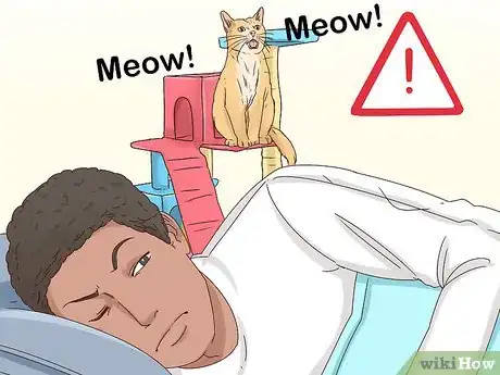 Imagen titulada Get Your Cat to Sleep With You Step 10