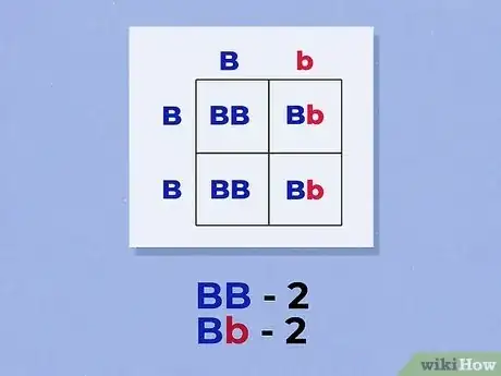 Imagen titulada Use a Punnett Square to Do a Monohybrid Cross Step 6