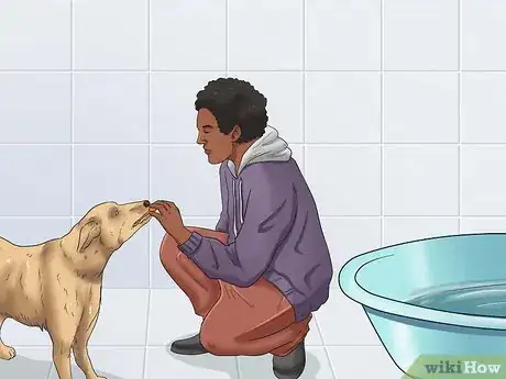 Imagen titulada Give Your Large Dog a Bath Step 2