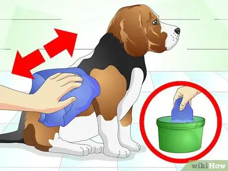 Imagen titulada Nurse a Dog when It's Sick Step 10